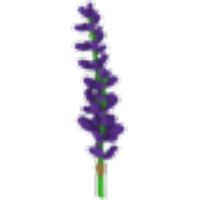 Lavender Bundle - Uncommon from Spring Festival 2020